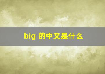 big 的中文是什么